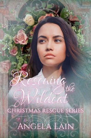 [Christmas Rescue 09] • Rescuing the Wildcat